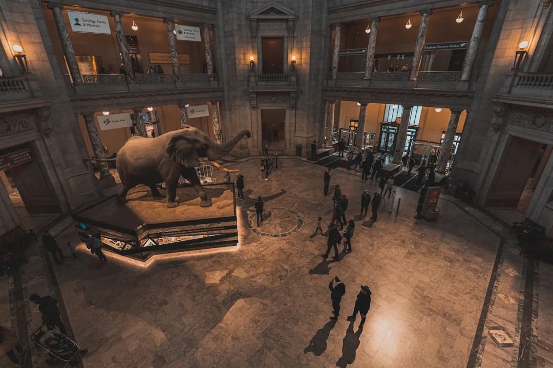 Cover Image for National Geographic Museum of Exploration Opening in DC