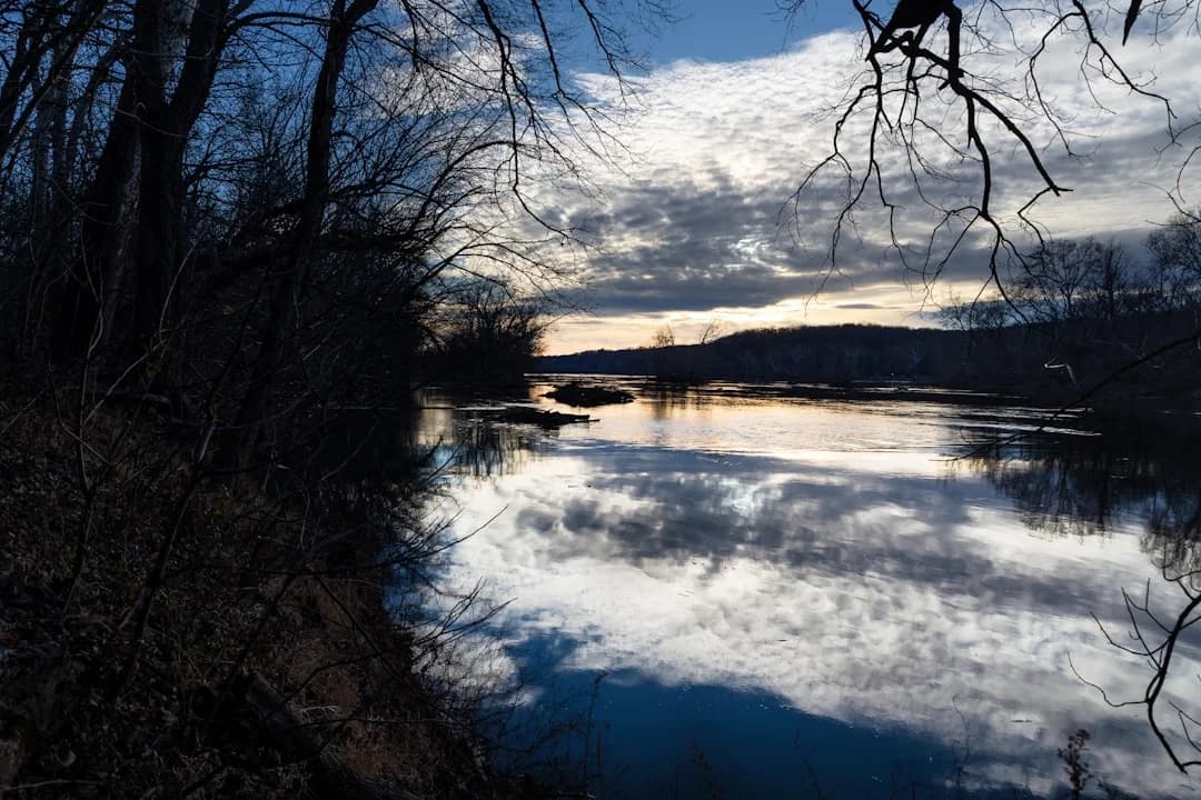 Cover Image for Potomac River sewage spill 2026 DC: DC Water Update